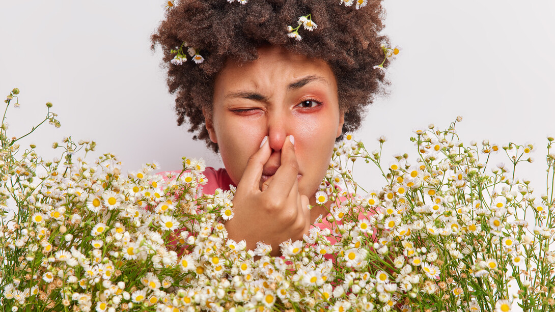 A woman with breathing difficulties holds her nose, suffering from allergies; she clutches a large bouquet of flowers and has red, itchy eyes