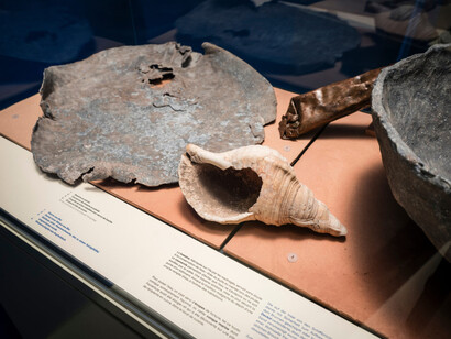 L’île de sable, ausstellungsansicht. Mit freundlicher genehmigung von Laténium