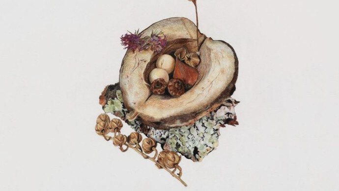 Sareh Imani, When the wind dies down, and the rain grows gentle 05, 2022. Courtesy of 56 Henry