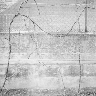 Giovanna Sarti, Precedente e altrove. Per gentile concessione della Galleria d'arte Pallavicini22