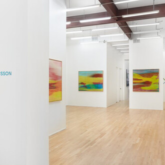 Hildur Ásgeirsdóttir Jónsson, Glacial landscapes, exhibition view. Courtesy of Andrew Rafacz