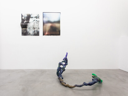 Marie Lelouche, Nonuments, exhibition view. Courtesy of Alberta Pane Gallery