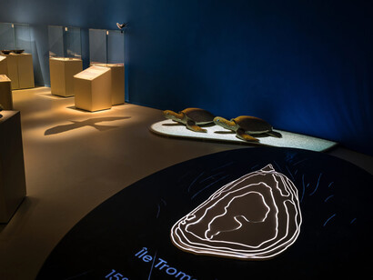 L’île de sable, ausstellungsansicht. Mit freundlicher genehmigung von Laténium