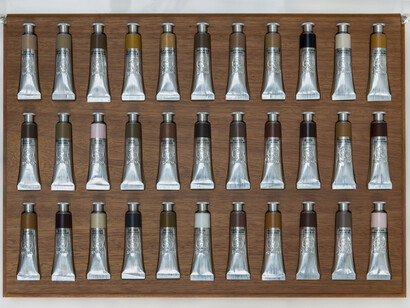 Adriana Varejão Caixa Polvo frontal - 2013 - foto Vicente de Mello.