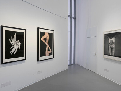 Tono Stano, exhibition view. Courtesy of Danubiana