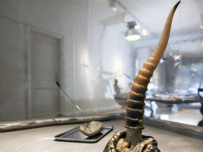 Various artists, Neanderthal beauty clinic, exhibition view. Courtesy of Estonian Museum of Applied Art and Design