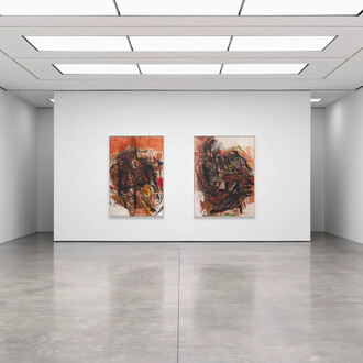 Sylvia Snowden, On the verge, exhibition view. Courtesy of White Cube