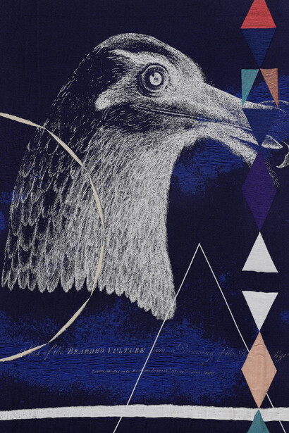 Claudia Wieser, Untitled (Bird and triangles), 2025. Courtesy of Marianne Boesky Gallery