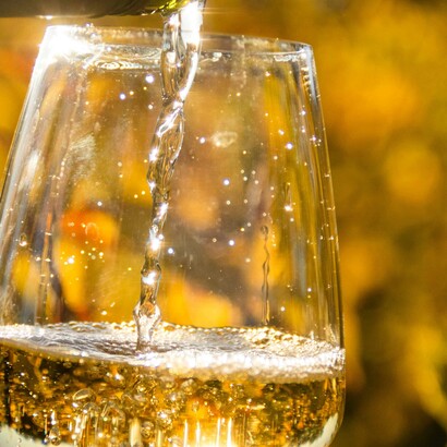 È un vino che racconta il legame profondo con il territorio collinare marchigiano, tra tradizione e innovazione