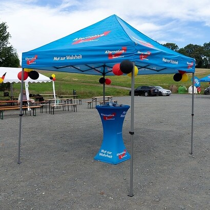 L’Alternativa per la Germania (AfD) è un partito di destra populista noto per posizioni euroscettiche e nazionaliste