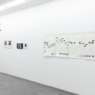 Various artists, Hay un pájaro azul en mi corazón (There’s a bluebird in my heart), exhibition view. Courtesy of Gallery Hache