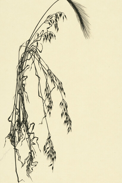 Johanna Beckmann, Roggen und Hafer, scherenschnitt, 1923. Mit freundlicher genehmigung von Kulturforum