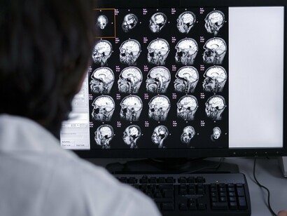 Brain scans show organization, not isolation, within living systems