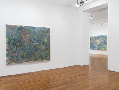 Trevor Shimizu, exhibition view. Courtesy of 47 Canal