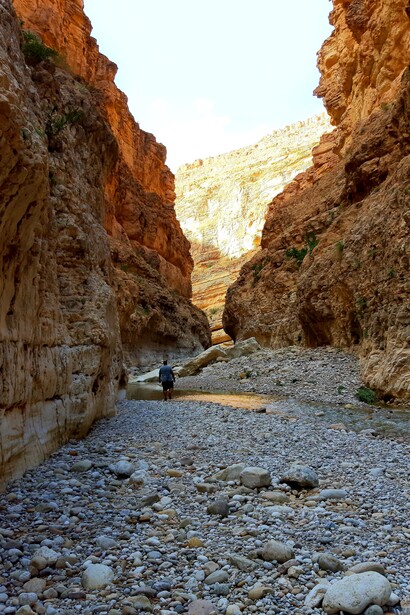 Al tramonto, le rocce delle montagne di M’Chounech si tingono di sfumature dorate e rosate, creando un’atmosfera magica e quasi irreale. Montagne della città di M'Chounech a Biskra Algeria. Foto di Omar Karim Chehaba