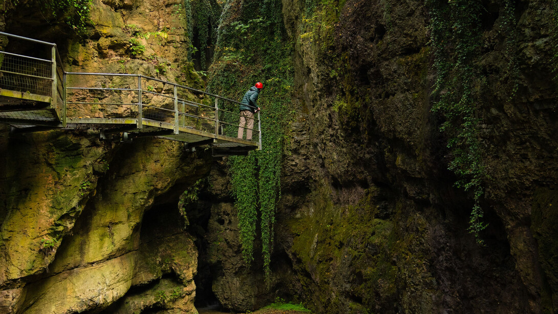 Simone Bramante, Parco Fluviale Novella, Val di Non, 2024-2025. Per gentile concessione del MUDEC © Simone Bramante