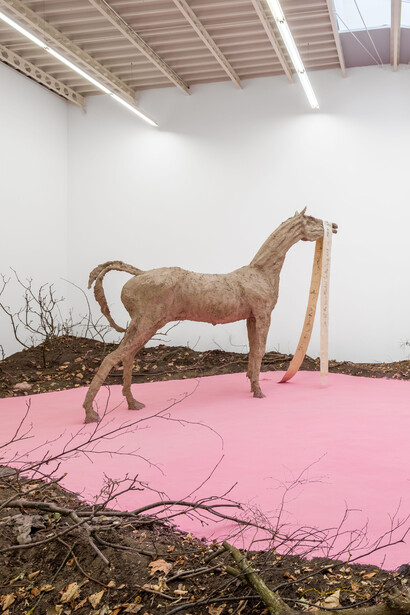 Petrit Halilaj, An opera out of time, exhibition view. Courtesy of Hamburger Bahnhof