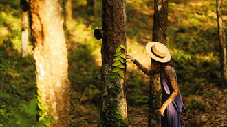 A woman in a blue dress and hat gently picks leaves from a tree, enjoying the calm of the moment