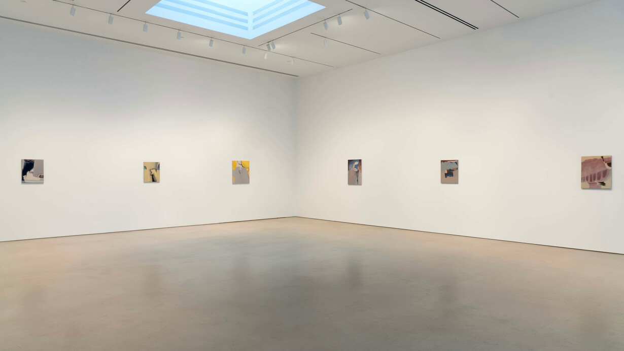 Rezi van Lankveld, Premonitions, exhibition view. Courtesy of Petzel