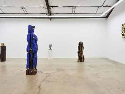 Ryan Schneider, Earth canal, exhibition view. Courtesy of The Pit