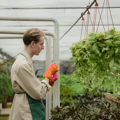 A farmer checking his plants in a greenhouse, highlighting the link between farming and greenhouse gas emissions
