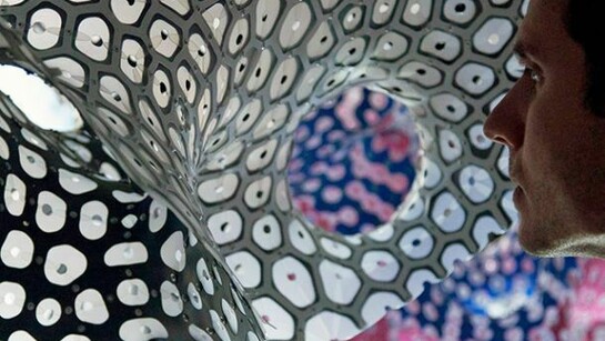 Vlad Tenu, Synthetic Nature