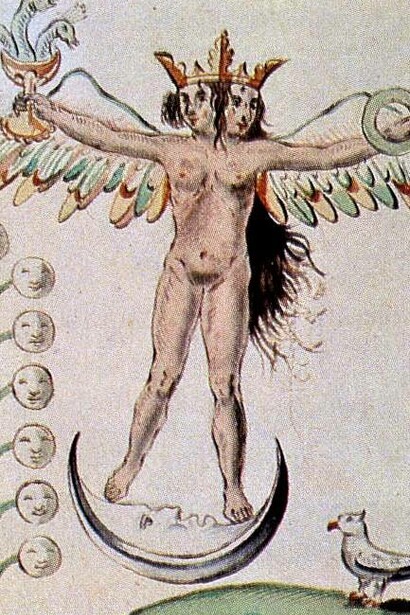 Il Rebis Androgino o Ermafrodita