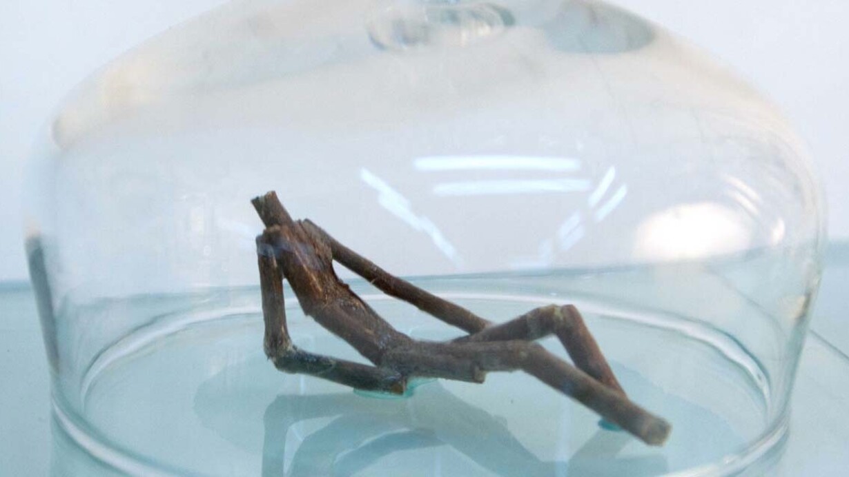 Claudia Maina. Courtesy of Amy-d Arte Spazio