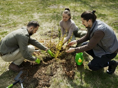 Collective reforestation efforts highlight the power of shared responsibility for the planet’s future