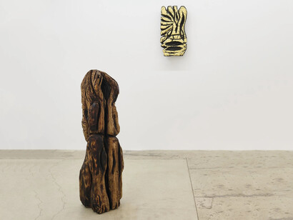 Ryan Schneider, Earth canal, exhibition view. Courtesy of The Pit