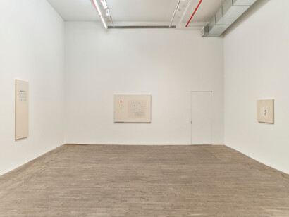 Sofia Silva, Spoiled by Freud, exhibition view. Courtesy of Andrew Kreps Gallery