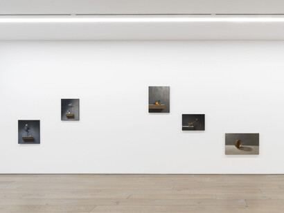 Chang Ya Chin, Finding Ewha, exhibition view. Courtesy of Perrotin