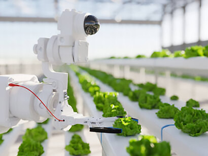 Robotic hydroponics powered by AI, paving the way for sustainable, high-tech farming