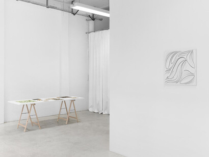 Aaron Scheer, Aeonesis, exhibition view. Courtesy of Office Impart