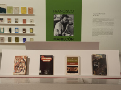 An enlightened country, exhibition view. Courtesy of MARCO