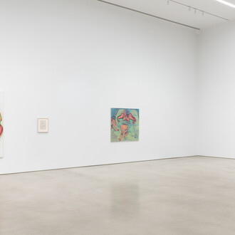 Maria Lassnig, exhibition view. Courtesy of Petzel Gallery