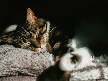 Sul piano personale incoraggia a coltivare relazioni e attività che portano gioia e significato