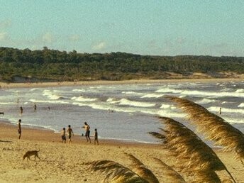 Punta Del Diablo, Uruguai. O Uruguai é um país de fácil acesso, seja por via aérea, marítima ou terrestre; o Aeropuerto Internacional de Carrasco, que me fez lembrar o aeroporto da minha amada Recife, é belo e organizado; mas, se você opta chegar por terra, partindo do Brasil ou da Argentina, pode ser agraciado pelas belas paisagens e estradas da região; eu cheguei pelo mar, atracando no belíssimo porto de Montevidéu, o principal do país, que fica no Rio da Prata, um estuário formado pelo derrame das águas do Rio Paraná, Uruguai e oceano Atlântico