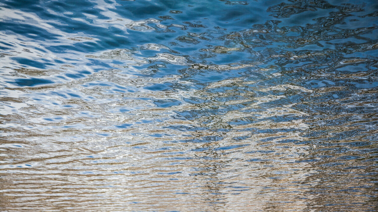 Mili DC Hartinger, Calma en la superficie (detalle), 2025. Cortesía de La Galería