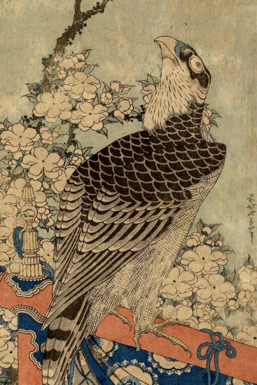Katsushika Hokusai 葛飾北斎, Woodcut, vertical diptych. Hawk on ornamental perch reaching towards cherry blossom; 1833-1834, Japan
