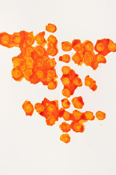 Thomas Müller, Untitled, 2025. Courtesy of Kristof De Clercq Gallery