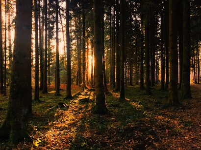 Mais de 200 anos após o suposto enterro do tesouro, os Beale Ciphers continuam sem solução definitiva. Dois códigos permanecem indecifráveis, e nenhum tesouro foi encontrado