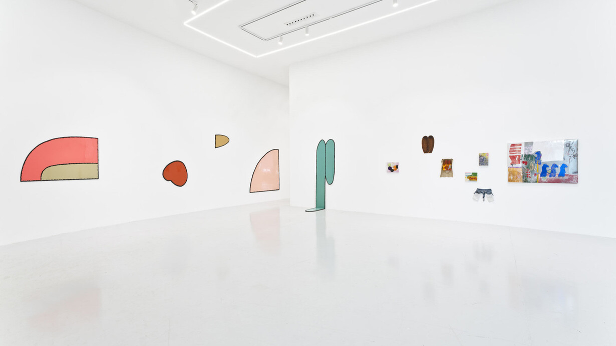Nicolas Momein, Nails in the mouth, exhibition view. Courtesy of Ceysson and Bénétière