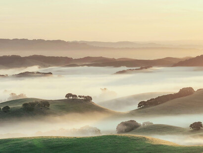 Mountains enveloped in fog at dusk, symbolizing stillness and the beauty of Philippines' Davao’s wilderness