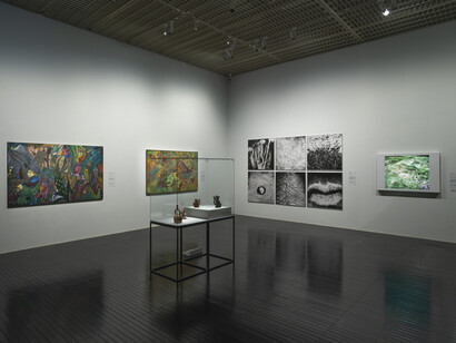 Various artists, Histories of ecology, exhibition view. Courtesy of MASP