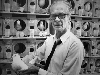Lo psicologo B.F. Skinner con in mano un piccione, in piedi davanti a diverse gabbie individuali per piccioni