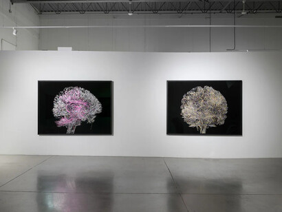 Geneviève Cadieux, Wild is the wind, exhibition view. Courtesy of Blouin Division