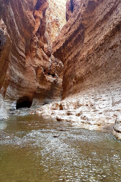Le montagne che circondano M’Chounech offrono panorami spettacolari, dove le cime rocciose si stagliano contro il cielo azzurro del deserto. Montagne della città di M'Chounech a Biskra Algeria. Foto di Omar Karim Chehaba