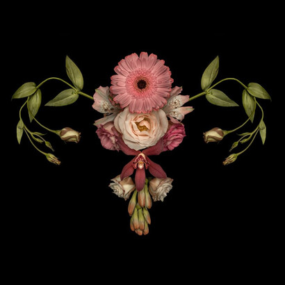 Catharina Suleiman, obra de la serie Útero