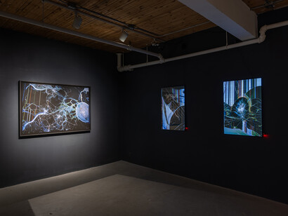 Oli Sorenson, Video pistoletto, vue de l'exposition. Avec l'aimable autorisation d'Art Mûr